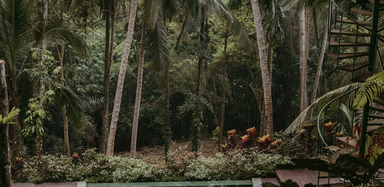 Suasana taman & kolam VILLA AMARTA (ilustrasi)