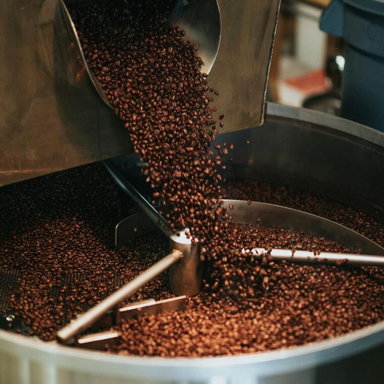 Biji kopi Toraja Sapan