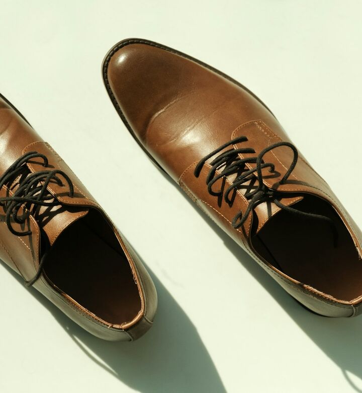 Oxford Sienna (ilustrasi)