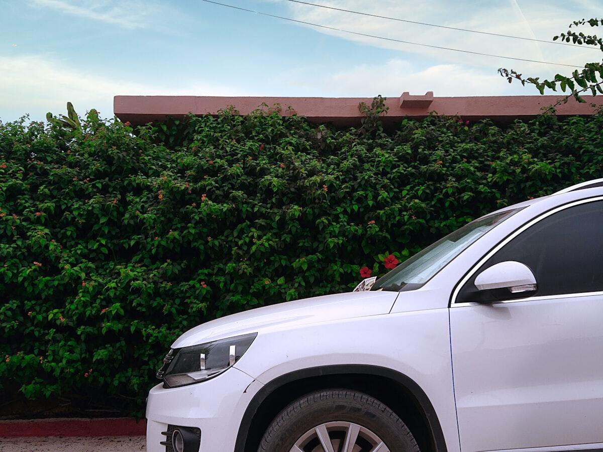 Mobil klasik untuk prewedding